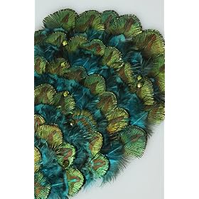 Buy *The Extras The Feather and Crystal Hair Clip,Accessories for Women by var goTwisterProductImageStrings = new Object();goTwisterProductImageStrings['prodImageNotAvailTextNoColor'] = 