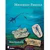 Mesozoic Fossils: Triassic and Jurassic