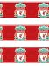Liverpool FC Wallpaper Border - Red