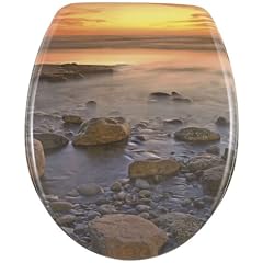 Wenko 17612100 WC-Sitz Stone Shore - rostfreie Edelstahlbefestigung, Duroplast