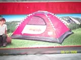 Disney CARS Camping/Play 5' x 4' Dome Tent