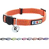 Pawtitas Reflective Cat Collar Orange
