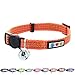Pawtitas Reflective Cat Collar with Safety Buckle and Removable Bell Cat Collar Kitten Collar Orange Cat Collar One Size