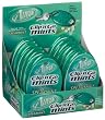 Aura Clip'n'go Sugar Free Spearmint Mints, 0.23-Ounce Units (Pack of 12)