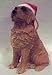 Golden Retriever Sitting Wearing a Santa Hat Christmas Holiday Ornament Sandicast