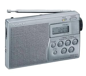 Sony ICF M 260 Radio Transistor: TV & Vid&eacute;o