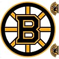 Boston Bruins Removable Logo - 24x24"