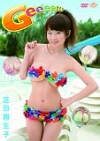 Geeee!!! �œc�Đ��q [DVD]