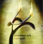 First Light (Dig)