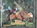 DINO WARRIORS: Tracker KOL & OSSINONT_s-1