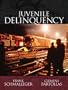 Juvenile Delinquency Instructor's Annotated Edition