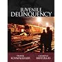 Juvenile Delinquency Instructor's Annotated Edition