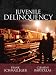 Books : Juvenile Delinquency Instructor's Annotated Edition