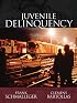 Juvenile Delinquency (MyCrimeLab Series)