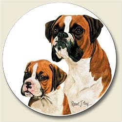 Boxer Auto Coaster, Single Coaster for Your Car
