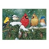 Buy Cardinals & Friends Jigsaw Puzzle 550pc by White Mountain Puzzles