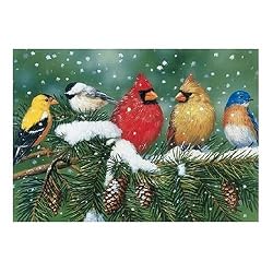 Cardinals & Friends Jigsaw Puzzle 550pc