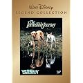 �O�C�r����s�� [DVD]
