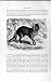 Carnivore Natural History 1893-94 Azara Dog Crab Eating