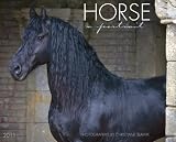 Horse: A Portrait 2011 Calendar