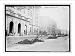 Newswire Photo (L): Trees ready to plant, Arbor Day, Public School No. 4, 173rd St. &...