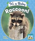 Its a Baby Raccoon! (SandCastle: Baby Mammals)