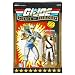 GI Joe Anniversary Hall of Heros -  WHITE STORM SHADOW