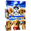 Les Copains des neiges