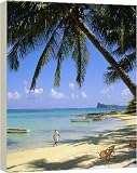 Beach, Cap Malheureux - 40 Inch Canvas Print (101cm) by Robert Harding
