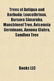 Trees of Antigua and Barbuda: Leucothrinax, Bursera Simaruba, Manchineel Tree, Avicennia Germinans, Annona Glabra, Sandbox Tree