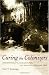 Curing the Colonizers: Hydrotherapy, Climatology, and French Colonial Spas