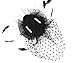Always a Lady Womens Fascinator Hat Hair Clip for Derby Party Funeral Polka Dot Veil