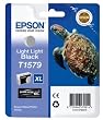 turtle tanks and accessories
