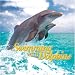 Swimming With Dolphins-Swimming with Dolphins