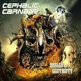 Misled By Certainty [VINYL]