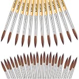 Watercolor Brush Set