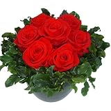 Luxor Preserved Roses from DriedFlowerShop.com
