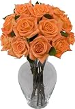 One Dozen Orange Roses without Vase