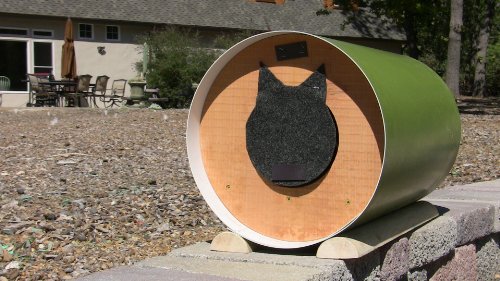 Feral Cat House