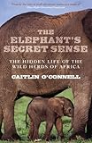 Omslagsbilde av The Elephant's Secret Sense