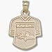Baltimore Ravens 