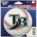 Tampa Bay Devil Rays - Baseball Logo In/Out Magnet MLB Pro Baseball