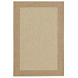 Simple Border Brown Indoor/Outdoor Rug