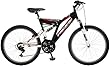 Pacific Gray's Peak Boy's 24-Inch Dual-Suspension Mountain Bike