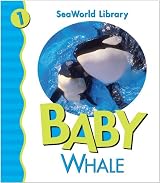 Baby Whale