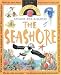 Question Time: Seashore