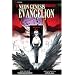Neon Genesis Evangelion, Vol. 11
