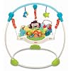 Fisher Price Precious Planet Blue Sky Jumperoo Fisher Price Precious Planet Blue Sky Jumperoo
