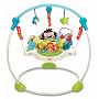 Fisher Price Precious Planet  Blue Sky Jumperoo