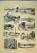 1884 WATER SUPPLY LONDON THEOBALDS SLUICE HOUSE SPRINGS